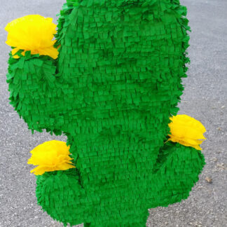 kaktus piñata