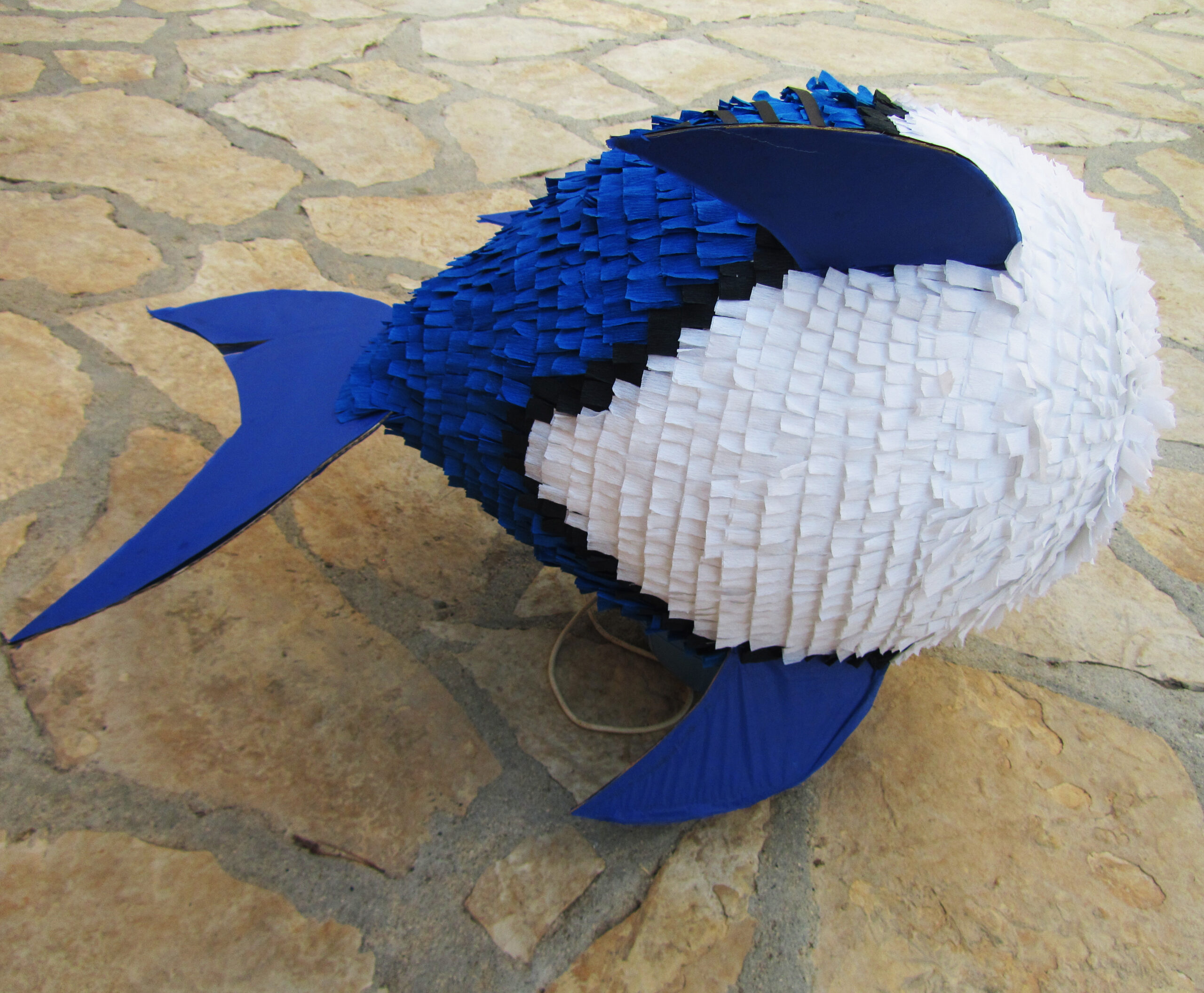 Morski pas morski pas piñata